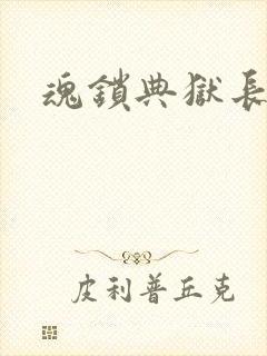 魂锁典狱长封面