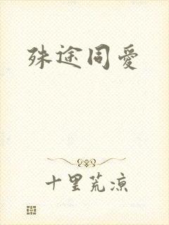 殊途同爱封面