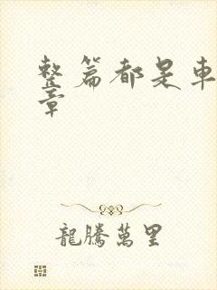 整篇都是车的文章