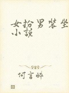 女扮男装坐江山小说