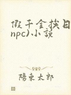 假千金挨日记(npc)小说