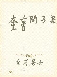 左右开弓是什么生肖封面