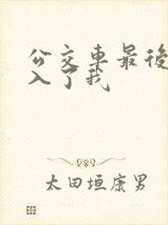 公交车最后一排入了我