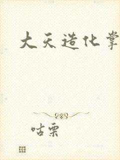 大天造化掌封面