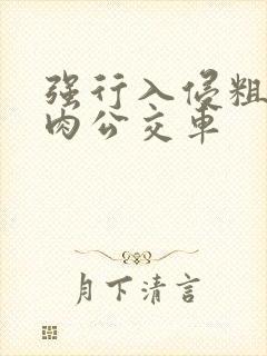 强行入侵粗暴h肉公交车