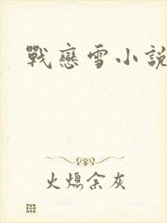 战恋雪小说封面