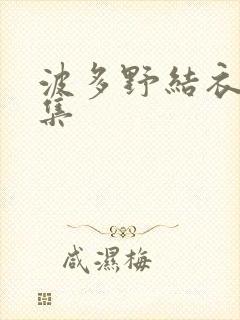 波多野结衣作品集封面