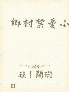 乡村禁爱小说封面