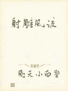 射雕风流封面