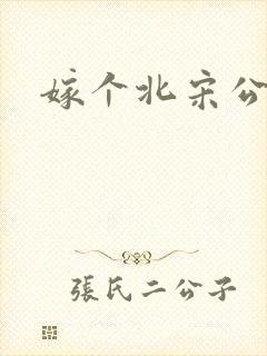 嫁个北宋公务员