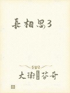 长相思3封面