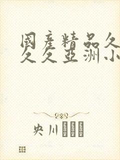 国产精品久久久久久亚洲小说