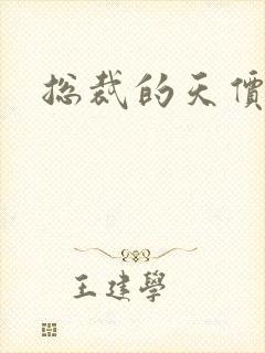 总裁的天价宠妻