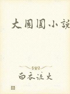 大团圆小说封面