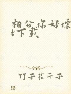 相公你好坏txt下载