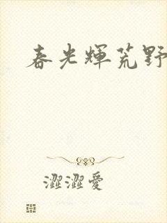 春光辉荒野
