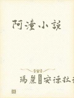 阿潼小说