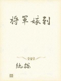 将军嫁到封面