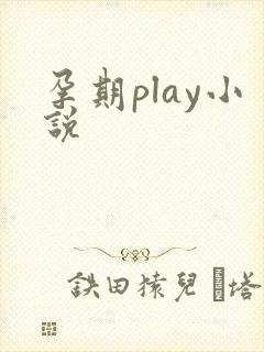 孕期play小说