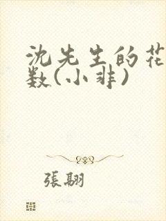 沈先生的花式调数(小非)封面