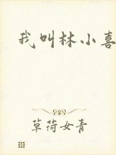 我叫林小喜17封面