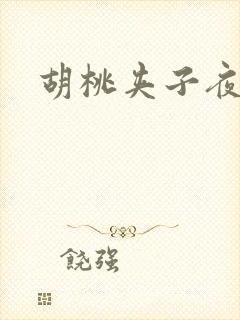 胡桃夹子夜未眠封面