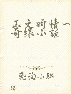 正文畸情～内裤奇缘小说封面