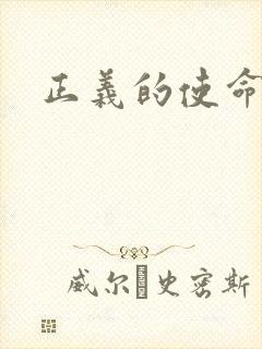 正义的使命小说
