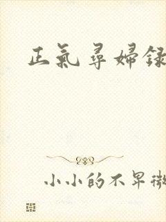 正气寻妇录
