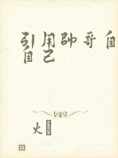 引用帅哥自己玩自己封面