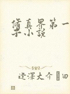 修真界第一病秧子小说