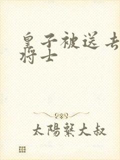 皇子被送去犒劳将士