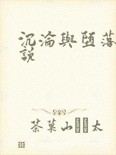 沉沦与堕落的小说