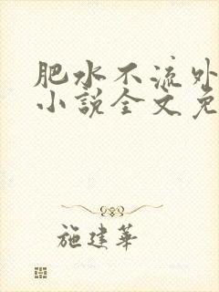 肥水不流外人田小说全文免费阅读1封面