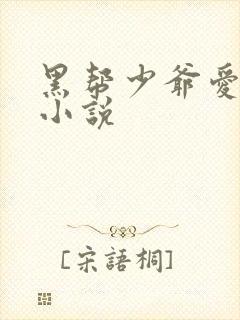 黑帮少爷爱上我小说