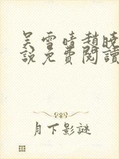 吴雪晴赵晓东小说免费阅读