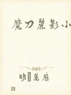 魔刀丽影小说