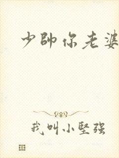 少帅你老婆