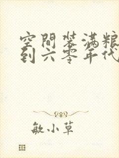 空间装满粮食回到六零年代