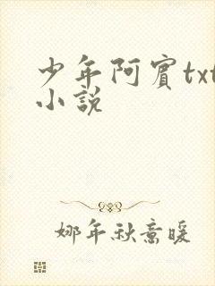 少年阿宾txt小说
