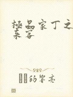 极品家丁之远方来客