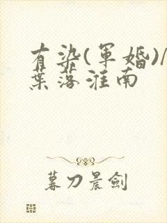 有染(军婚)/叶落淮南封面