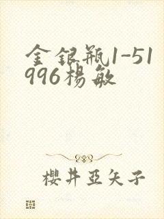 金银瓶1-51996杨敏封面