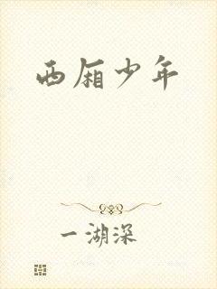 西厢少年