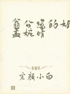 翁公您的好长呀孟婉晴封面