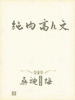 纯肉高h文