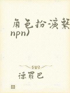角色扮演系统(npn)