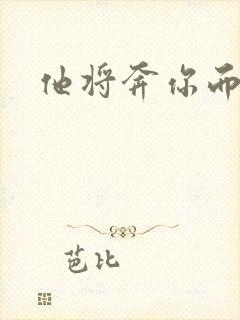 他将奔你而来封面