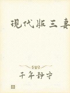 现代版三妻四妾