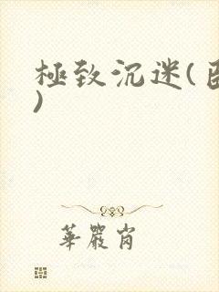 极致沉迷(臣年)封面